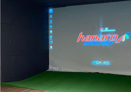 Hanaro Vision Plus WS